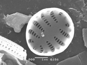 3-sem-6a, Рузский район, Moscow Oblast (Russia)