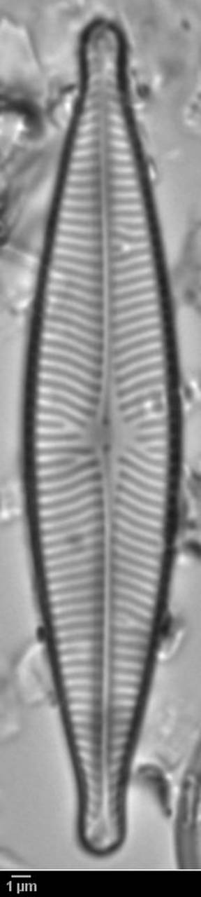 313s1-lm-465-sc-JPG,  Тибетский автономный район (China)