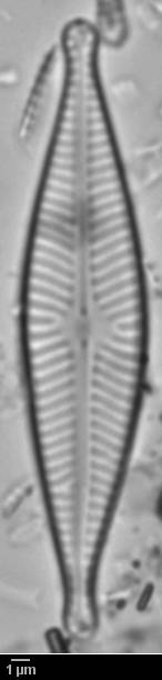 313s1-lm-229-sc,  Тибетский автономный район (China)