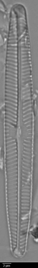 k3(1)-lm-423-sc, Murmansk Oblast (Russia)