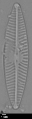 k3(1)-lm-327-sc, Murmansk Oblast (Russia)