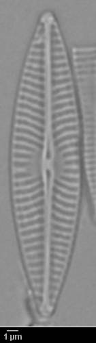 k5(1)-lm-571-sc, Murmansk Oblast (Russia)