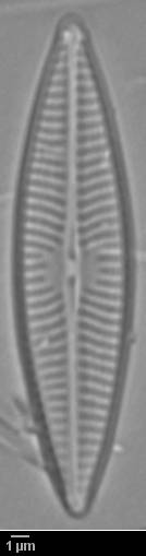 k7(2)-lm-353-sc, Кандалакшский р-н, Murmansk Oblast (Russia)