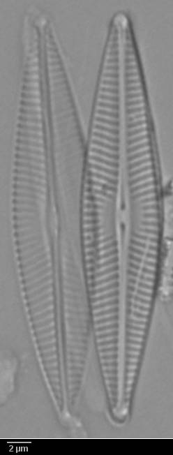 k10(2)-lm-384-sc, Murmansk Oblast (Russia)