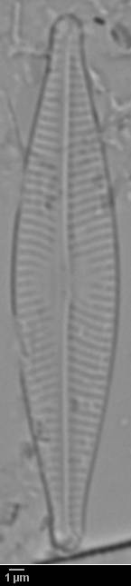k2(1)-lm-210-sc, Кольский р-н, Murmansk Oblast (Russia)