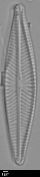 k4(3)-lm-493-sc, Murmansk Oblast (Russia)