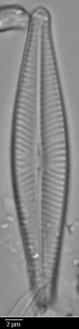 k10(2)-lm-243-sc, Murmansk Oblast (Russia)