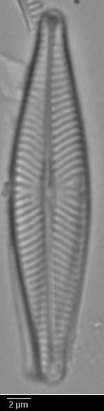 k11(1)-lm-112-sc, Murmansk Oblast (Russia)