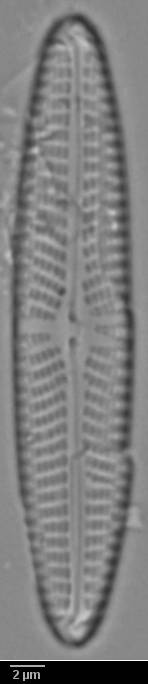 k2(1)-lm-613-sc, Кольский р-н, Murmansk Oblast (Russia)
