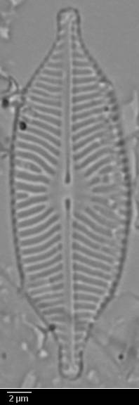 k2(1)-lm-542-sc, Кольский р-н, Murmansk Oblast (Russia)
