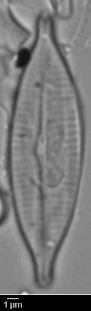 k3(1)-lm-378-sc, Murmansk Oblast (Russia)