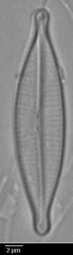 k6(2)-lm-204-sc, Murmansk Oblast (Russia)