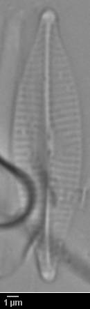 k10(2)-lm-379-sc, Murmansk Oblast (Russia)