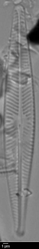 k3(1)-lm-510-sc, Murmansk Oblast (Russia)