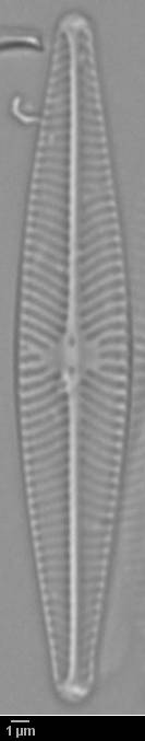 k4(3)-lm-473-sc, Murmansk Oblast (Russia)