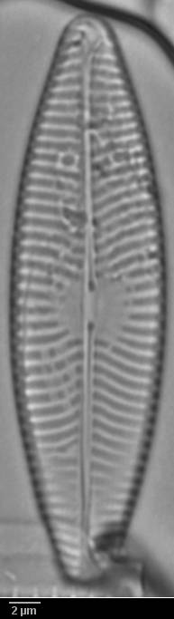 k4(3)-lm-051-sc, Murmansk Oblast (Russia)