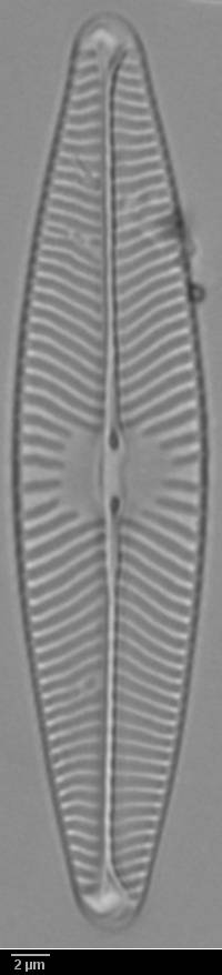 k10(2)-lm-337-sc, Murmansk Oblast (Russia)