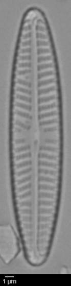 k5(1)-lm-376-sc, Murmansk Oblast (Russia)