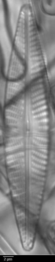 k1(1)-lm348-sc, Кольский р-н, Murmansk Oblast (Russia)