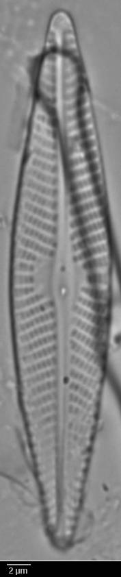 k2(1)-lm-260-sc, Кольский р-н, Murmansk Oblast (Russia)