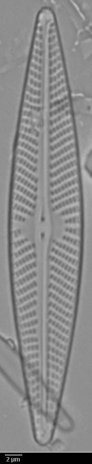 k5(1)-lm-185-sc, Murmansk Oblast (Russia)