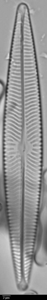 k1(1)-lm378-sc, Кольский р-н, Murmansk Oblast (Russia)