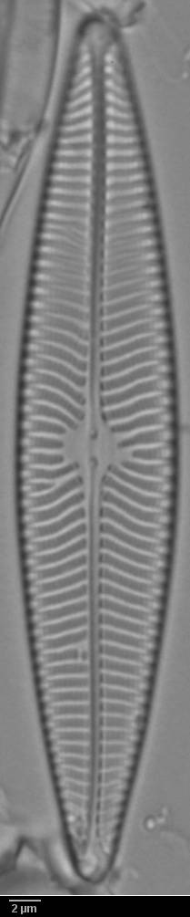 k3(1)-lm-573-sc, Murmansk Oblast (Russia)
