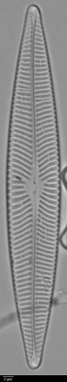 k4(3)-lm-362-sc, Murmansk Oblast (Russia)