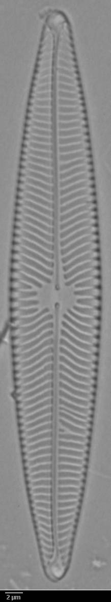 k6(2)-lm-191-sc, Murmansk Oblast (Russia)