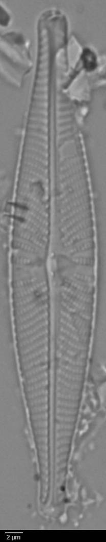 k3(1)-lm-473-sc, Murmansk Oblast (Russia)