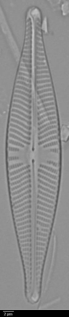 k5(1)-lm-110-sc, Murmansk Oblast (Russia)