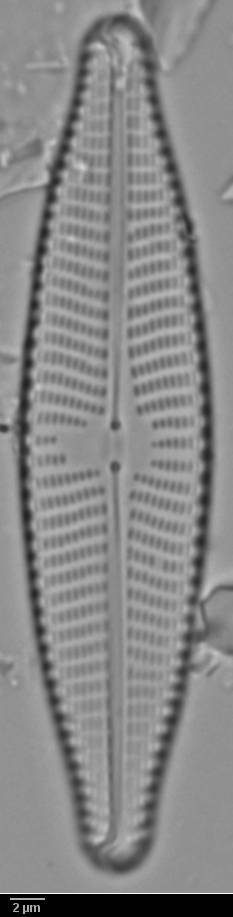 k2(1)-lm-120-sc, Кольский р-н, Murmansk Oblast (Russia)