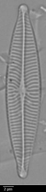 k7(2)-lm-194-sc, Кандалакшский р-н, Murmansk Oblast (Russia)