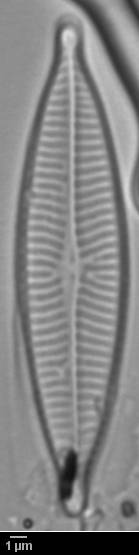 k10(2)-lm-088-sc, Murmansk Oblast (Russia)