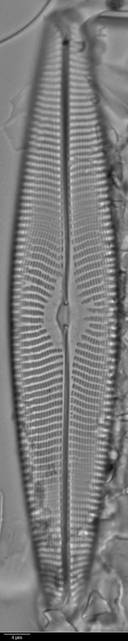 k3(2)-lm-002-sc, Murmansk Oblast (Russia)