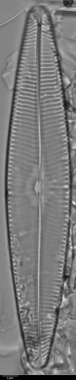 k3(2)-lm-002-sc, Murmansk Oblast (Russia)