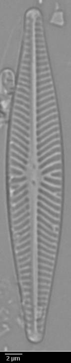 k5(1)-lm-351-sc, Murmansk Oblast (Russia)