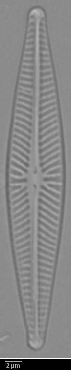 k10(2)-lm-130-sc, Murmansk Oblast (Russia)