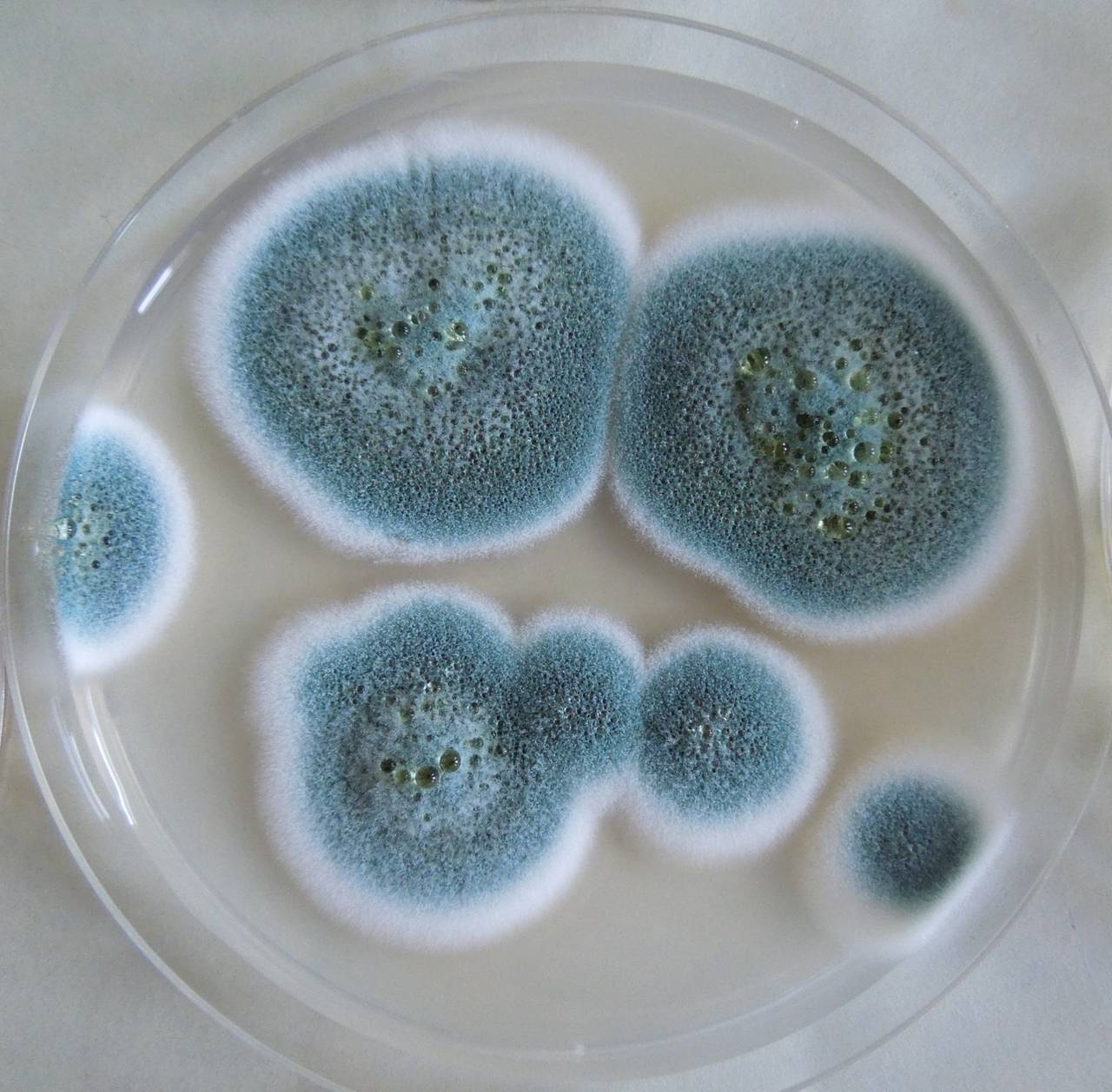 MSU_FS-03224_01, Район К Банг (K'Bang districts), Gia Lai province (Vietnam)