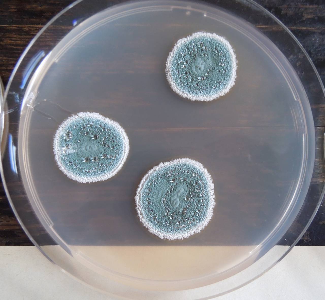 MSU_FS-03244_01, Район К Банг (K'Bang districts), Gia Lai province (Vietnam)