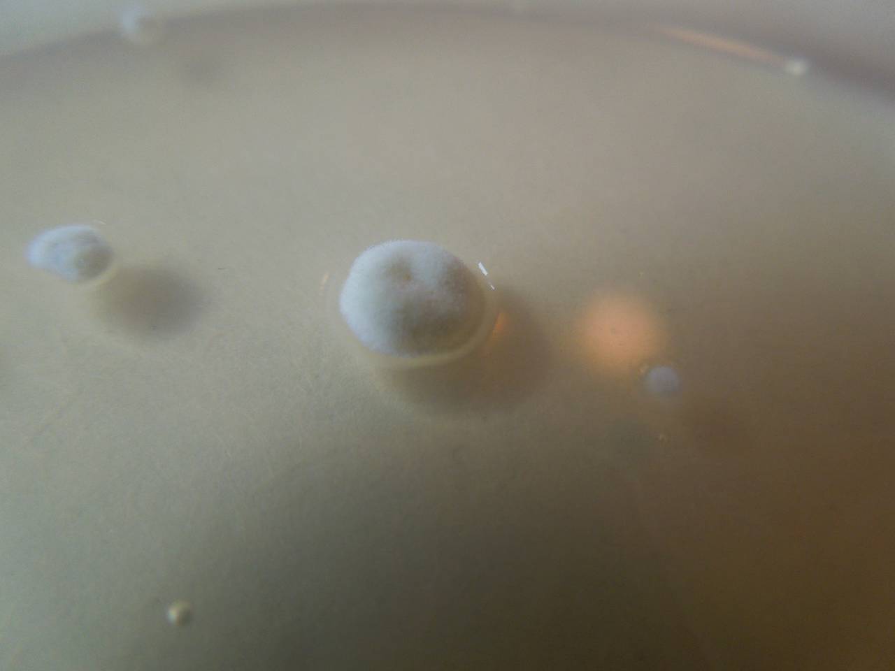 MSU_FS-03268_01, Район К Банг (K'Bang districts), Gia Lai province (Vietnam)