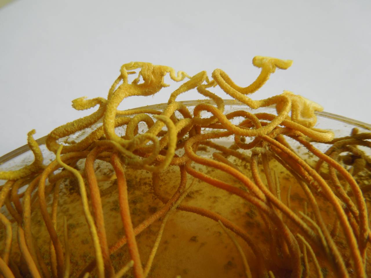 MSU_FS-03312_01, Район К Банг (K'Bang districts), Gia Lai province (Vietnam)