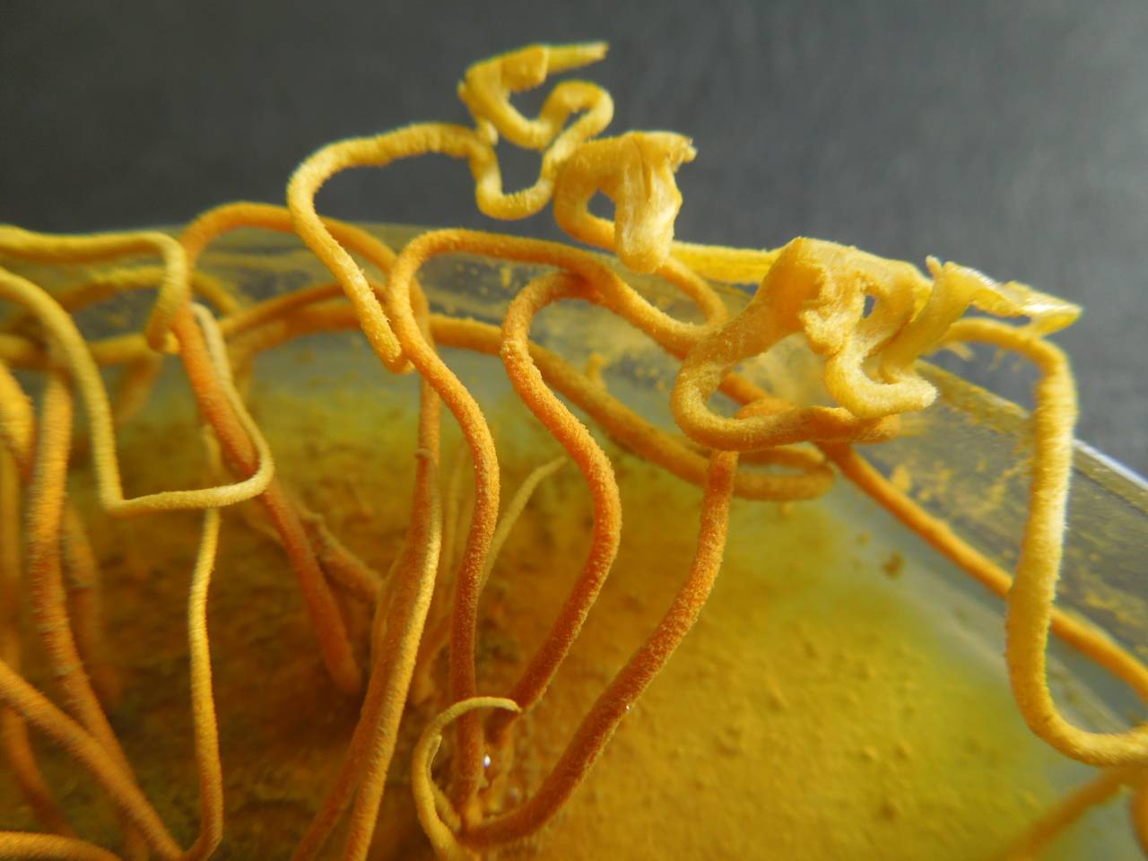 MSU_FS-03312_01, Район К Банг (K'Bang districts), Gia Lai province (Vietnam)