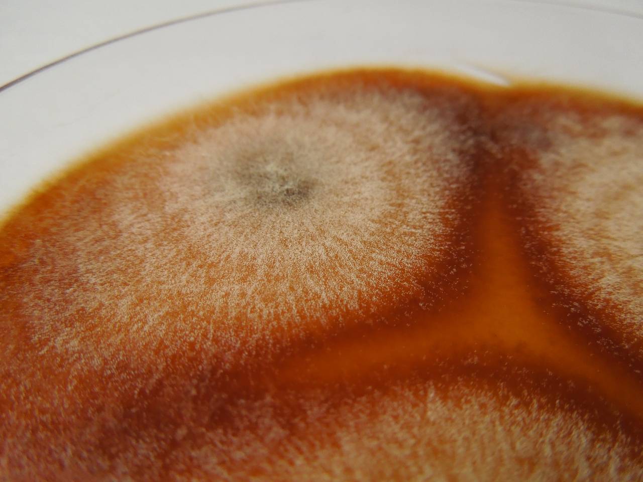 MSU_FS-03352_01, Район К Банг (K'Bang districts), Gia Lai province (Vietnam)