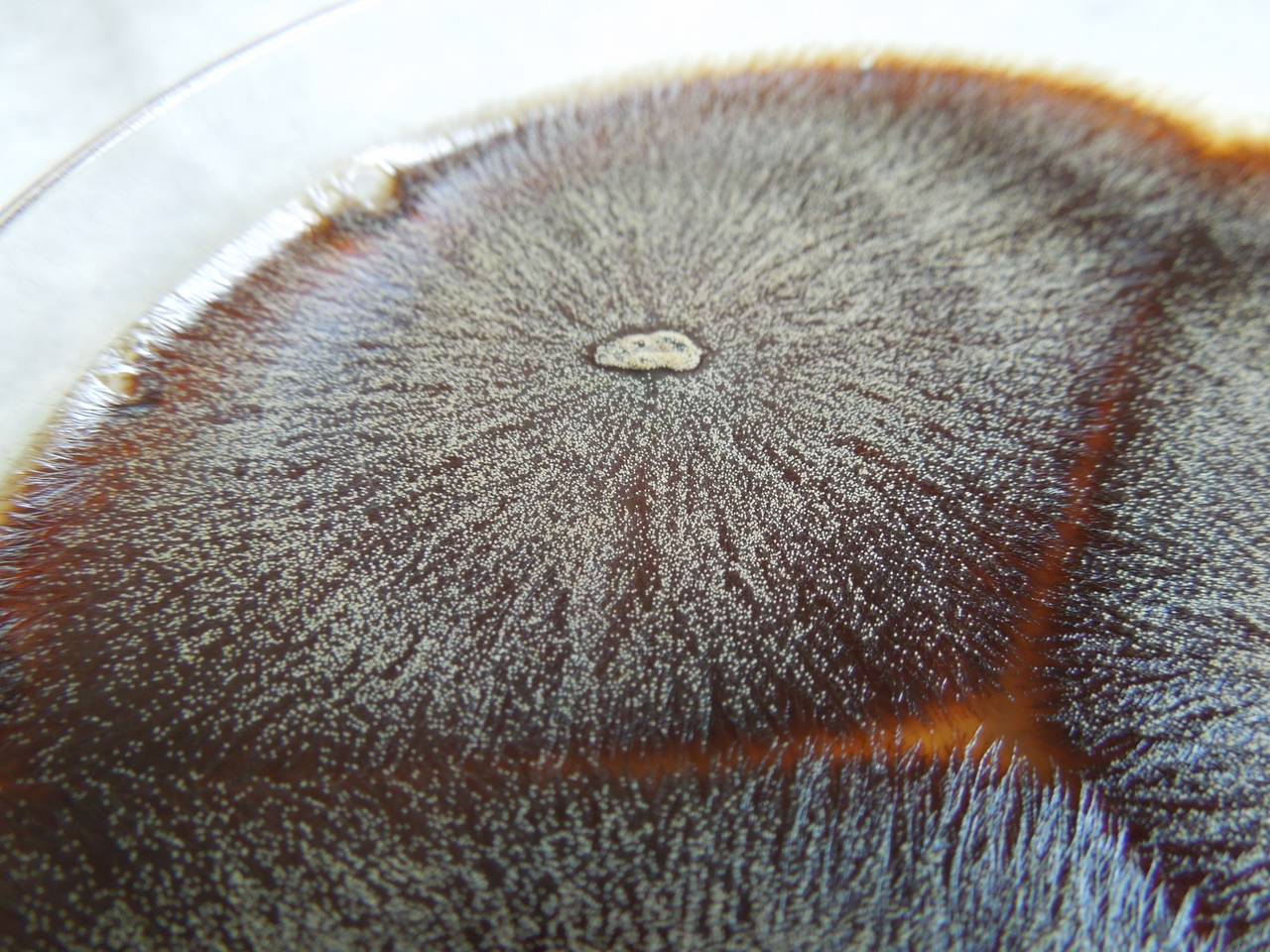 MSU_FS-03360_01, Район Манг Занг (Mang Yang districts), Gia Lai province (Vietnam)