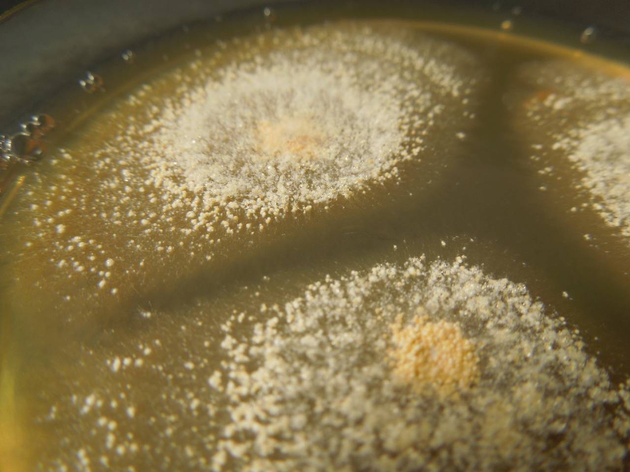 MSU_FS-03376_01, Район К Банг (K'Bang districts), Gia Lai province (Vietnam)