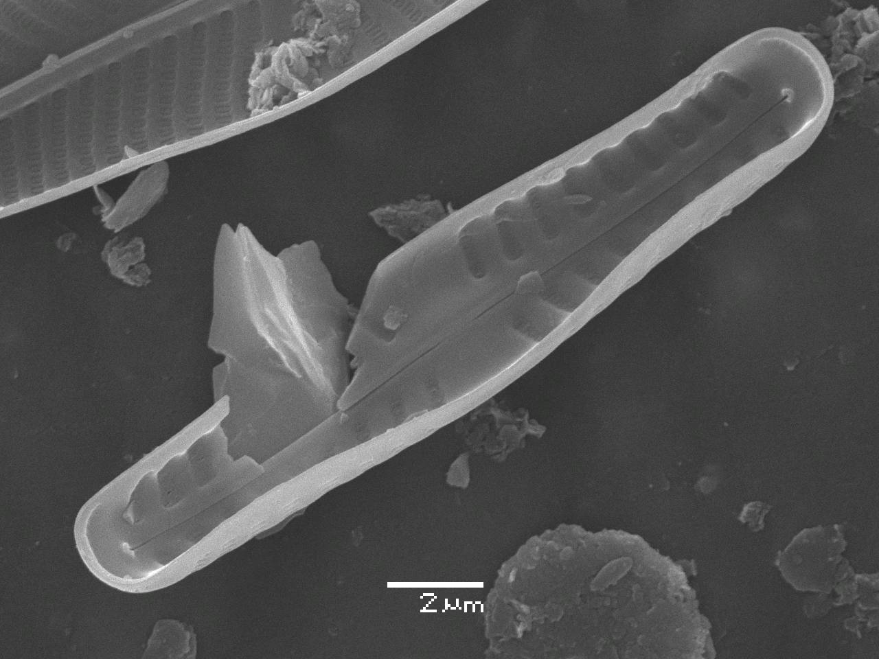 326-sem-25, Одинцовский район, Moscow Oblast (Russia)