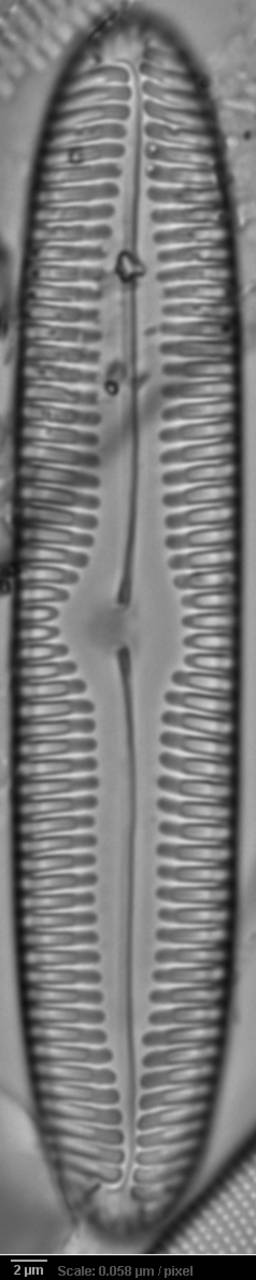 326s3-lm-543b-sc, Одинцовский район, Moscow Oblast (Russia)