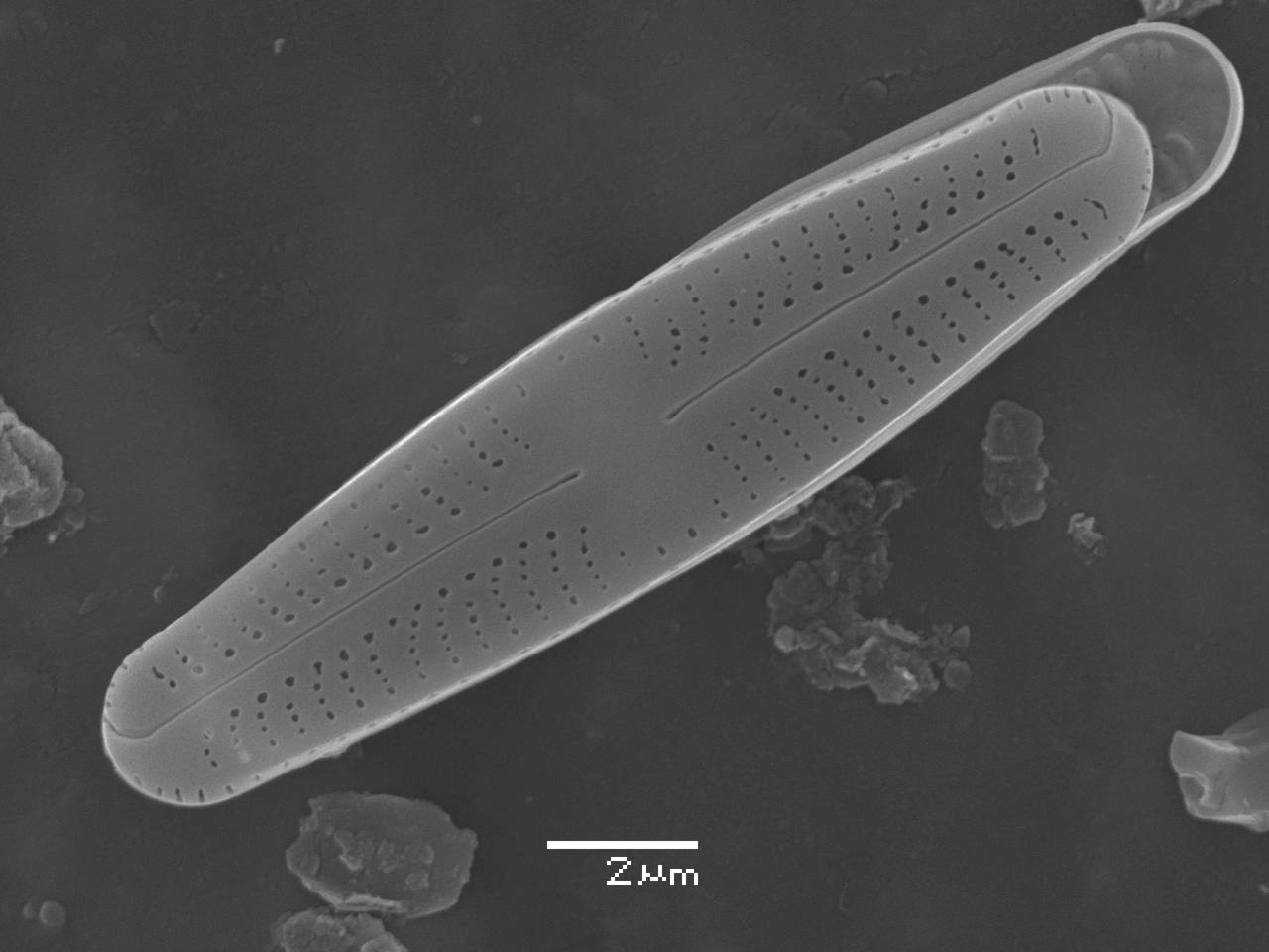 326s3-lm-428-sc, Одинцовский район, Moscow Oblast (Russia)