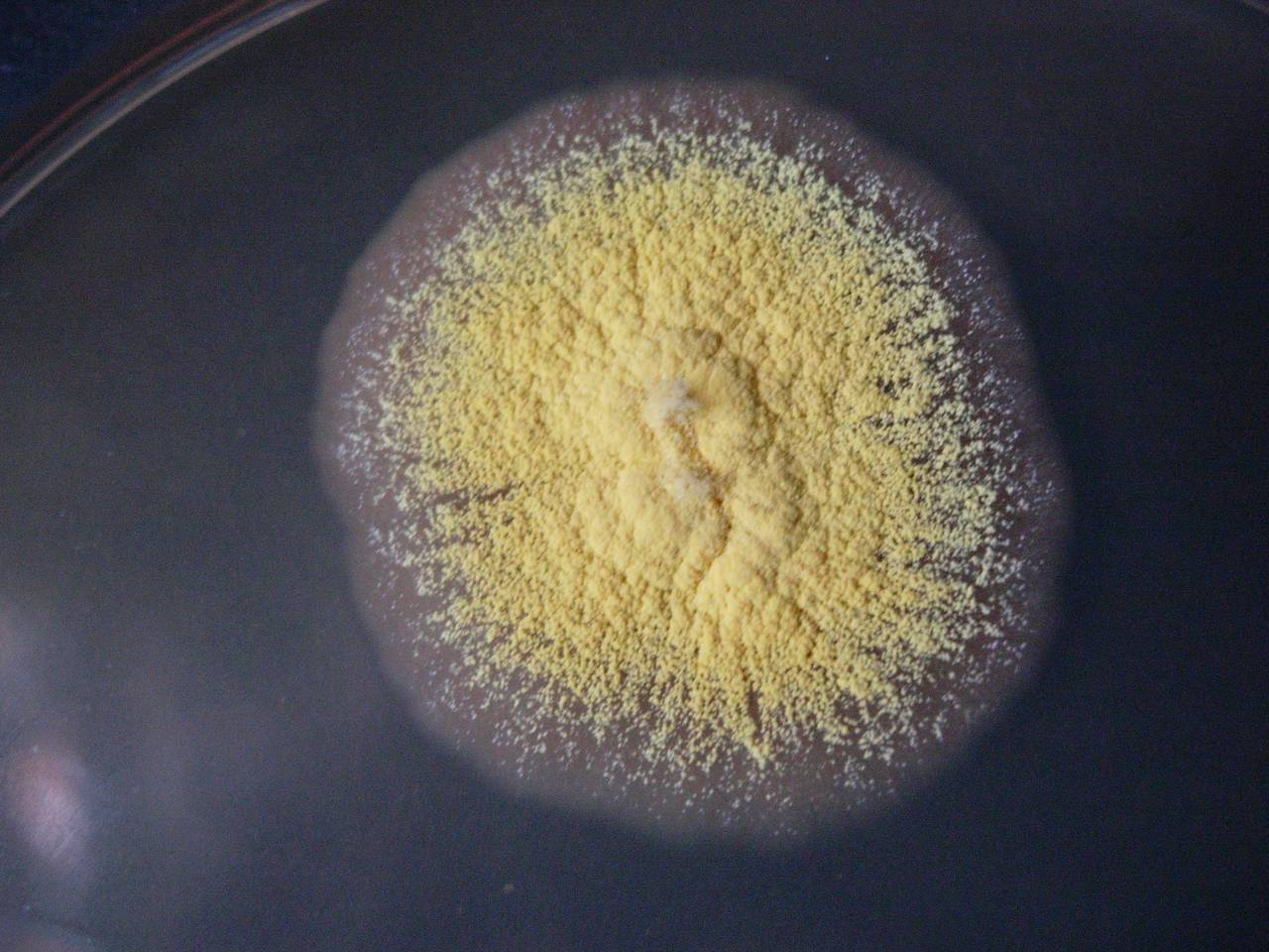 MSU_FS-00279 01, Район Тан Фу (Tân Phú district), Đồng Nai province (Vietnam)